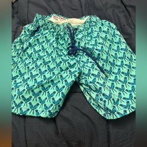 Mr.Swim Teal and Navy Swim Shorts size S very good condition